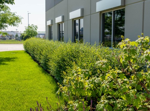 Commercial & HOA Services